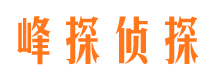 蒙城侦探公司